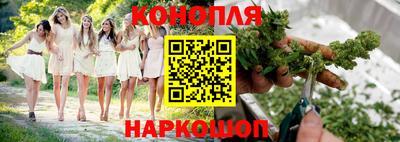 дживик Новозыбков