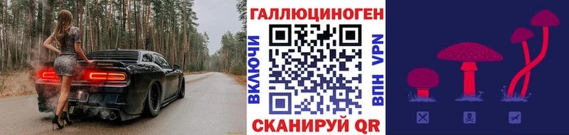купить наркотик  Нальчик  Галлюциногенные грибы Cubensis 