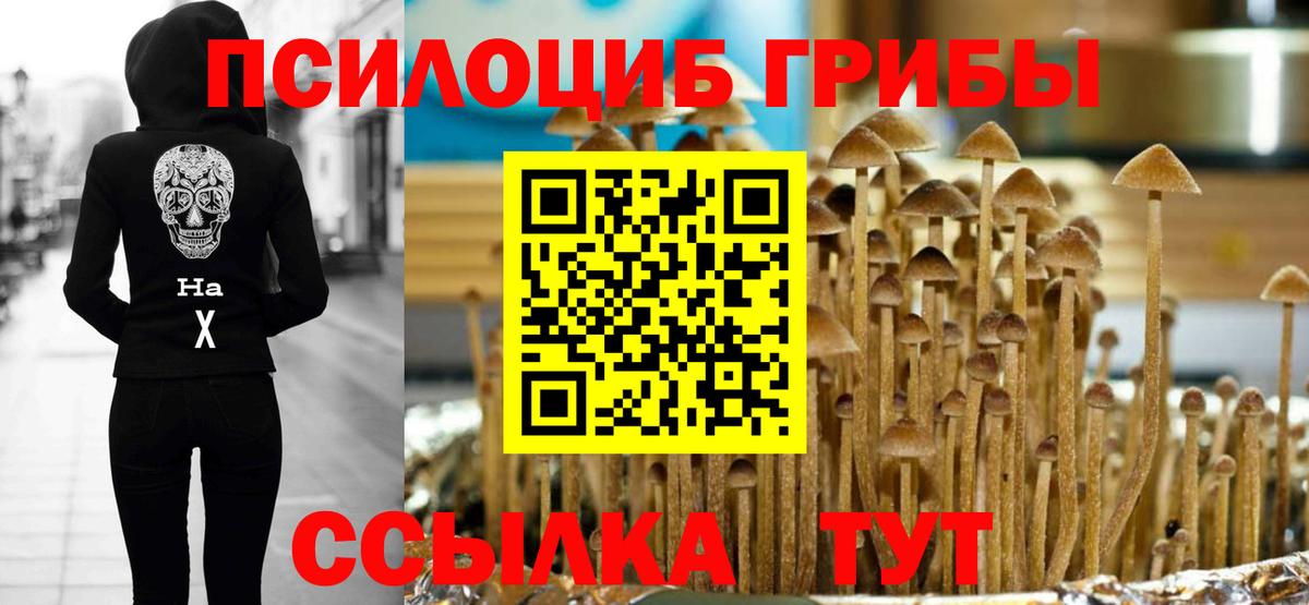 Галлюциногенные грибы Psilocybe  Псилоцибиновые грибы MAGIC MUSHROOMS  Нальчик  Вход с VPN 